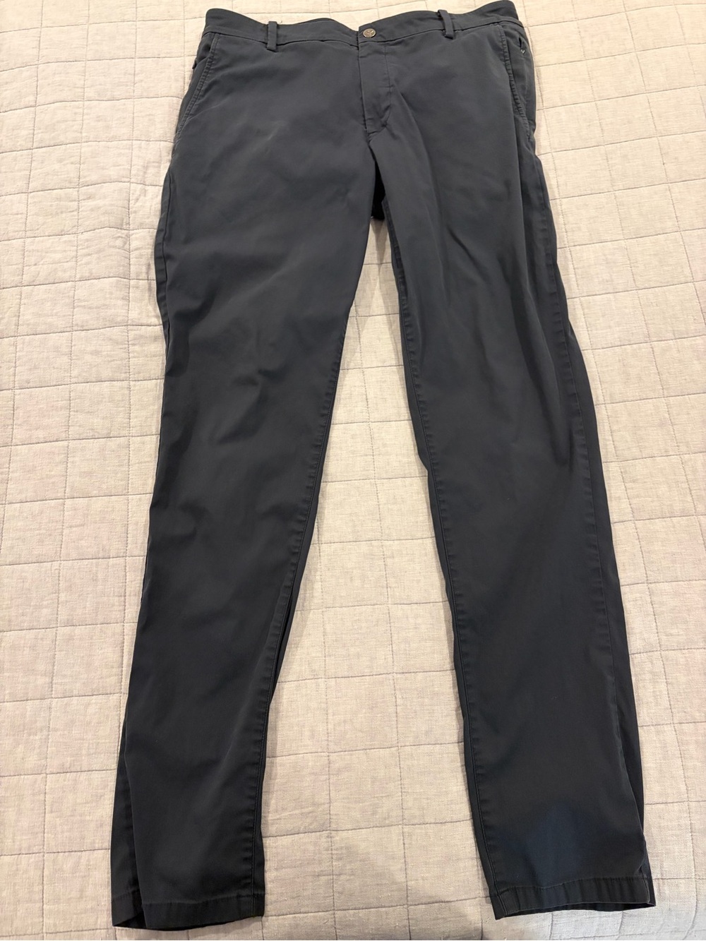 Birddogs Navy Men's Chinos